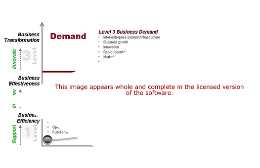 IT Maturity Model Software