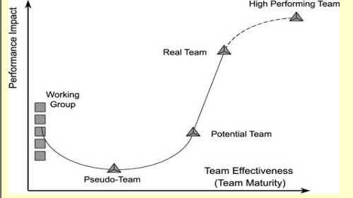 Katzenbach Team Performance Software