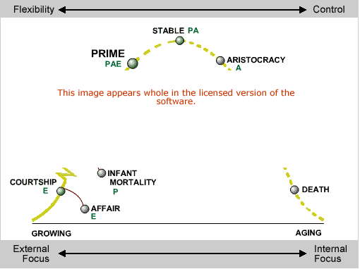 Leadership Curve Software