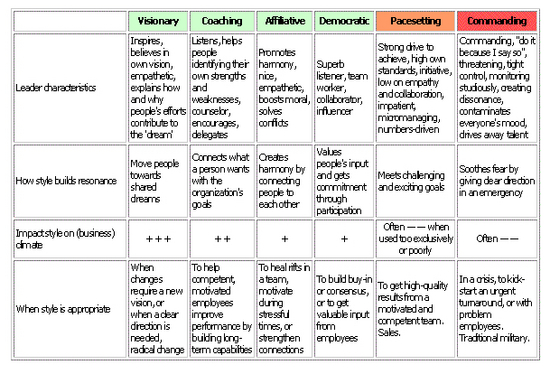 Leadership Styles (MEGA)
