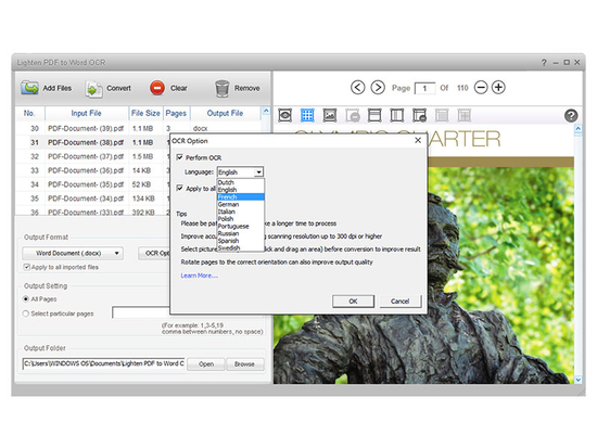 Lighten PDF to Word OCR