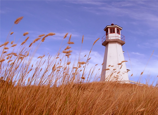 Lighthouse Gallery Screensaver