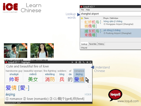 Loqu8 iCE Standard