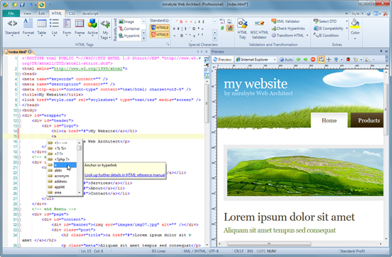 mirabyte Web Architect