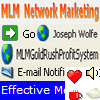 MLM Gold Rush Profit System