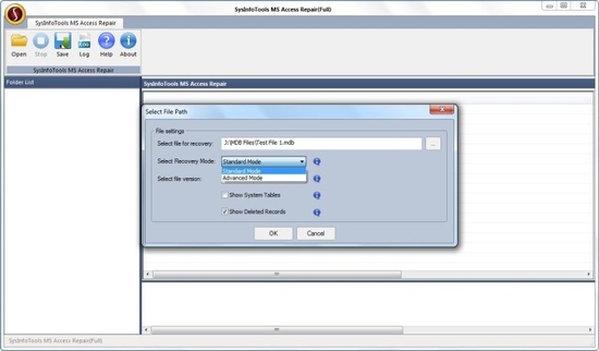 MS Access Database Recovery