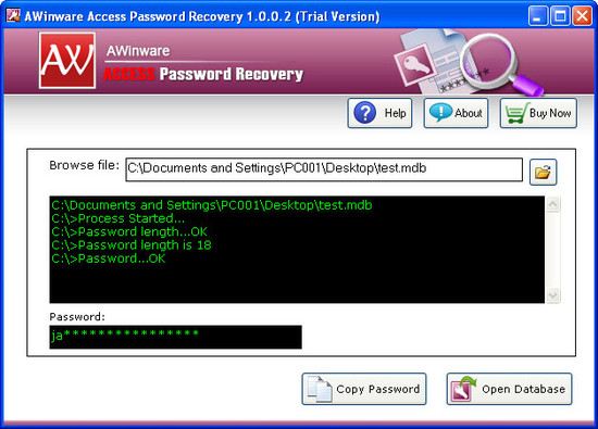 MS Access File Password Recovery