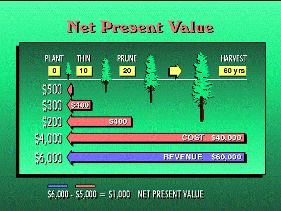 NPV Net Present Value (MEGA)