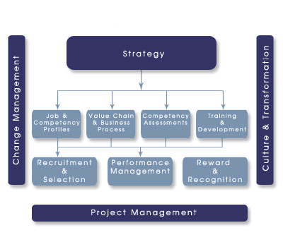 People Change Management Software