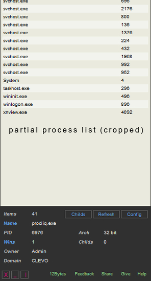 Process Liquidator