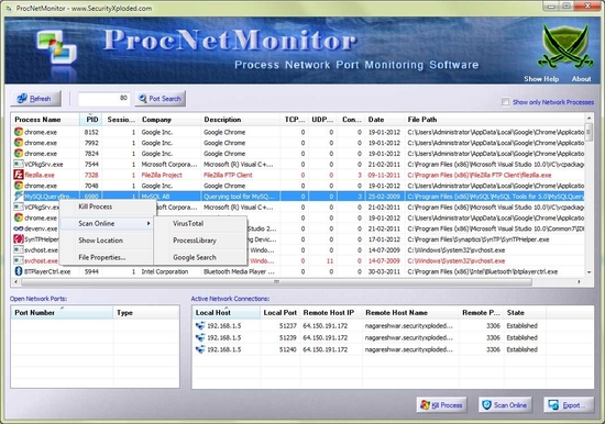 Process Network Monitor