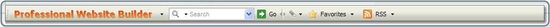 Professional Website Builder