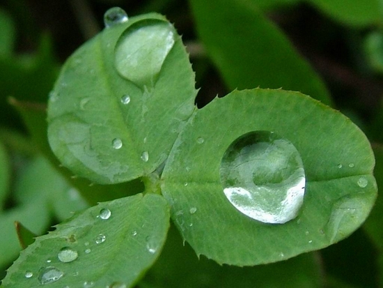 Rain Drops ScreenSaver