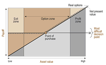 Real Options (MEGA)