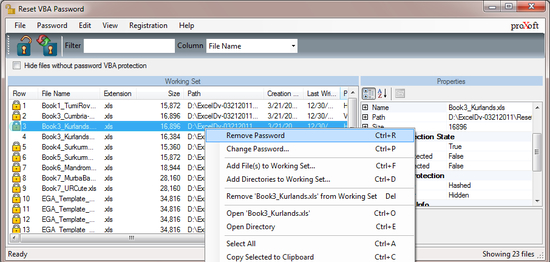 Reset VBA Password