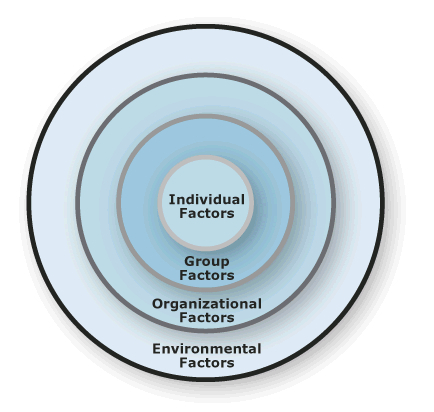 Risk Domains Software