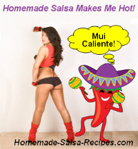 Salsa Recipes