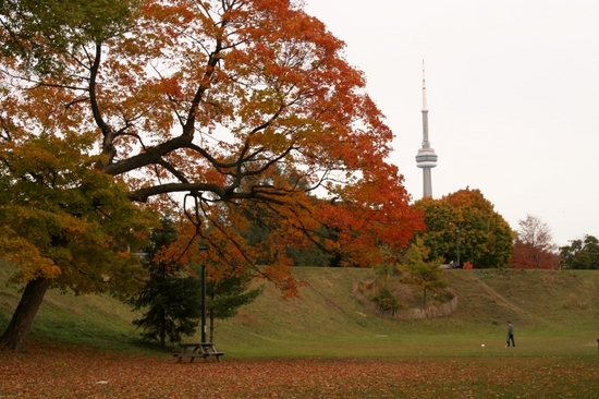 Scenic Autumn Screensaver