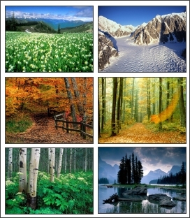 Seasonal Changes Screensaver