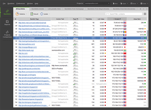 SEO SpyGlass Professional