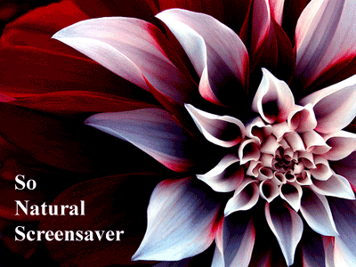 So Natural Screensaver