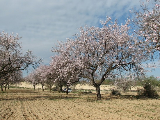 Spirited Physical Photos