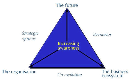 Strategic Triangle Software