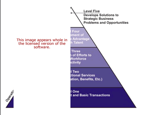 Strategy Domains Software