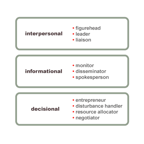 Ten Manager Roles Software (Advanced)