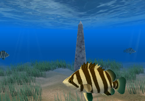 Tiger Fish Screensaver