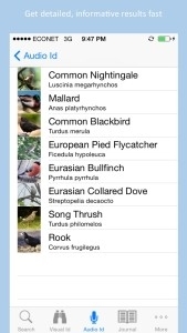 Twigle Birds – A Field Guide to Birds of