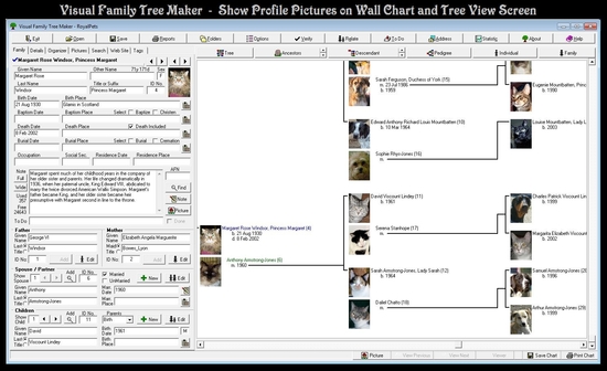 Visual Family Tree Maker