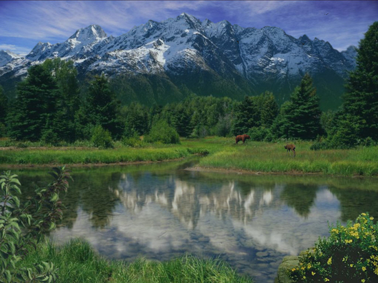 VombaSavers Alpine Lake