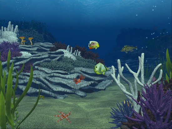 VombaSavers Underwater Reefs