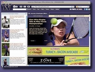 Washington Huskies IE Browser Theme