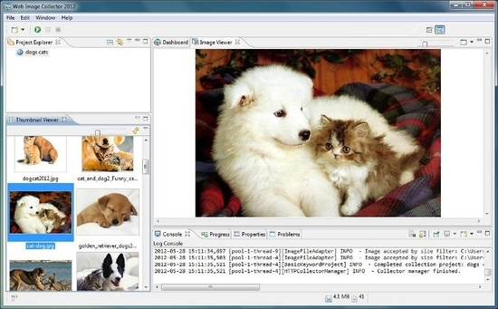 Web Image Collector 2013