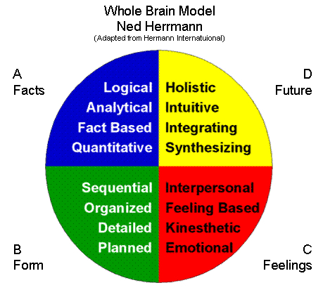 Whole Brain Model (MEGA)