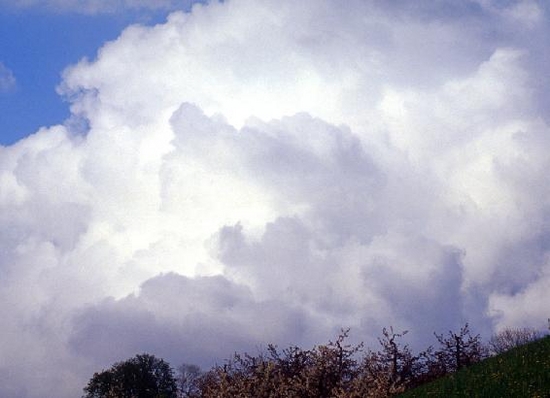 Whole House Air Purifier