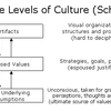 3 Culture Levels (MBA)