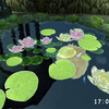 3D Pond screensaver