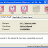 Access Workgroup Password Recovery