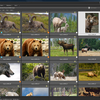 ACDSee Pro Photo Manager