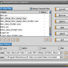 Anewsoft Video Converter