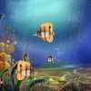 Animated Aquarium Wallpaper