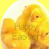 Animated Easter Chickens Wallpaper
