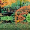 Autumn Scenery Wallpaper