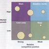 BCG Product Portfolio (MEGA)