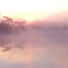 Beauty -- Path to Tao