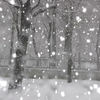 BLizzard Screensaver