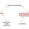 Bounded Rationality Software